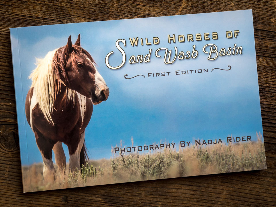 Wild Horses of Sand Wash Basin Photography Book